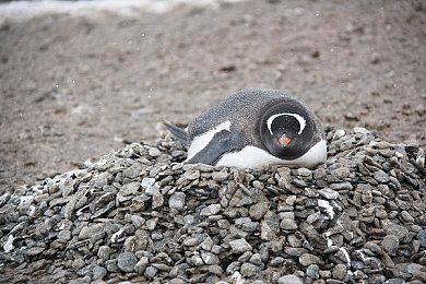 《堕落之主2》首批细节泄露 或支持难度选项